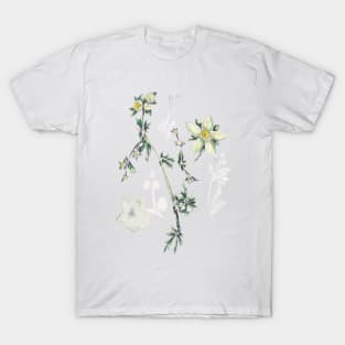 Wild herbs T-Shirt